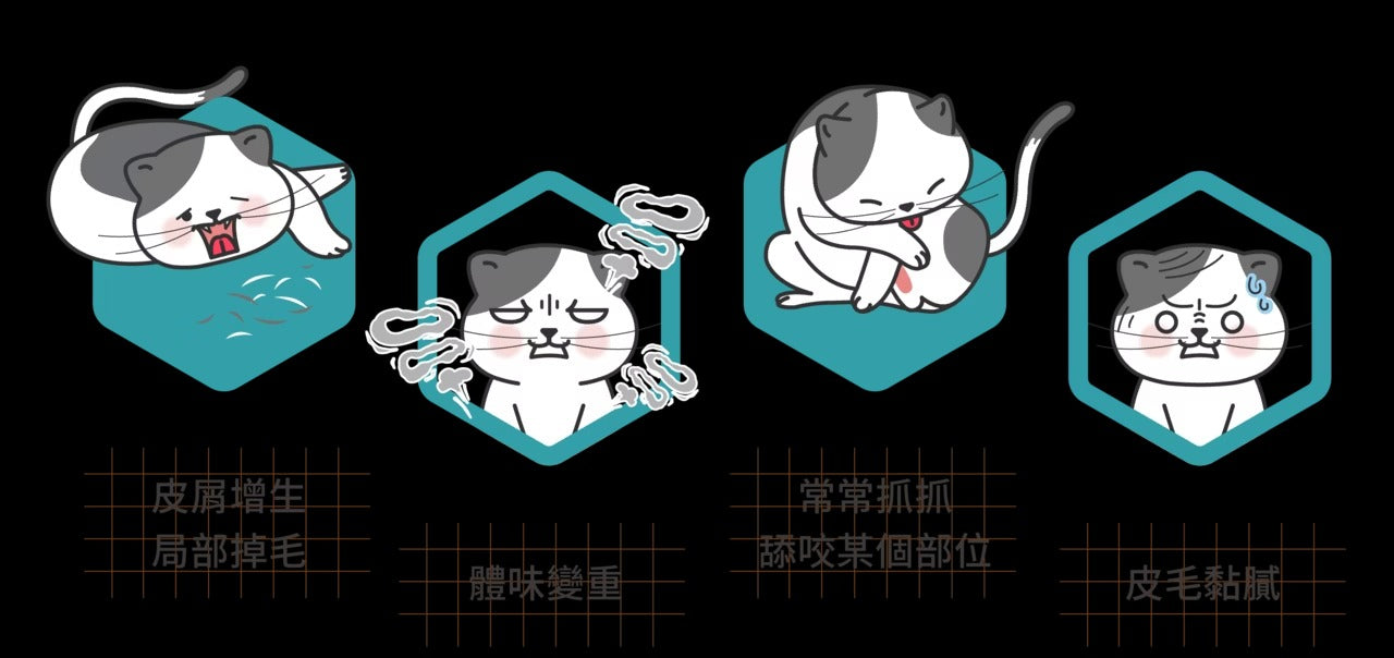 星巴哈尼｜貓用皮膚健康保健