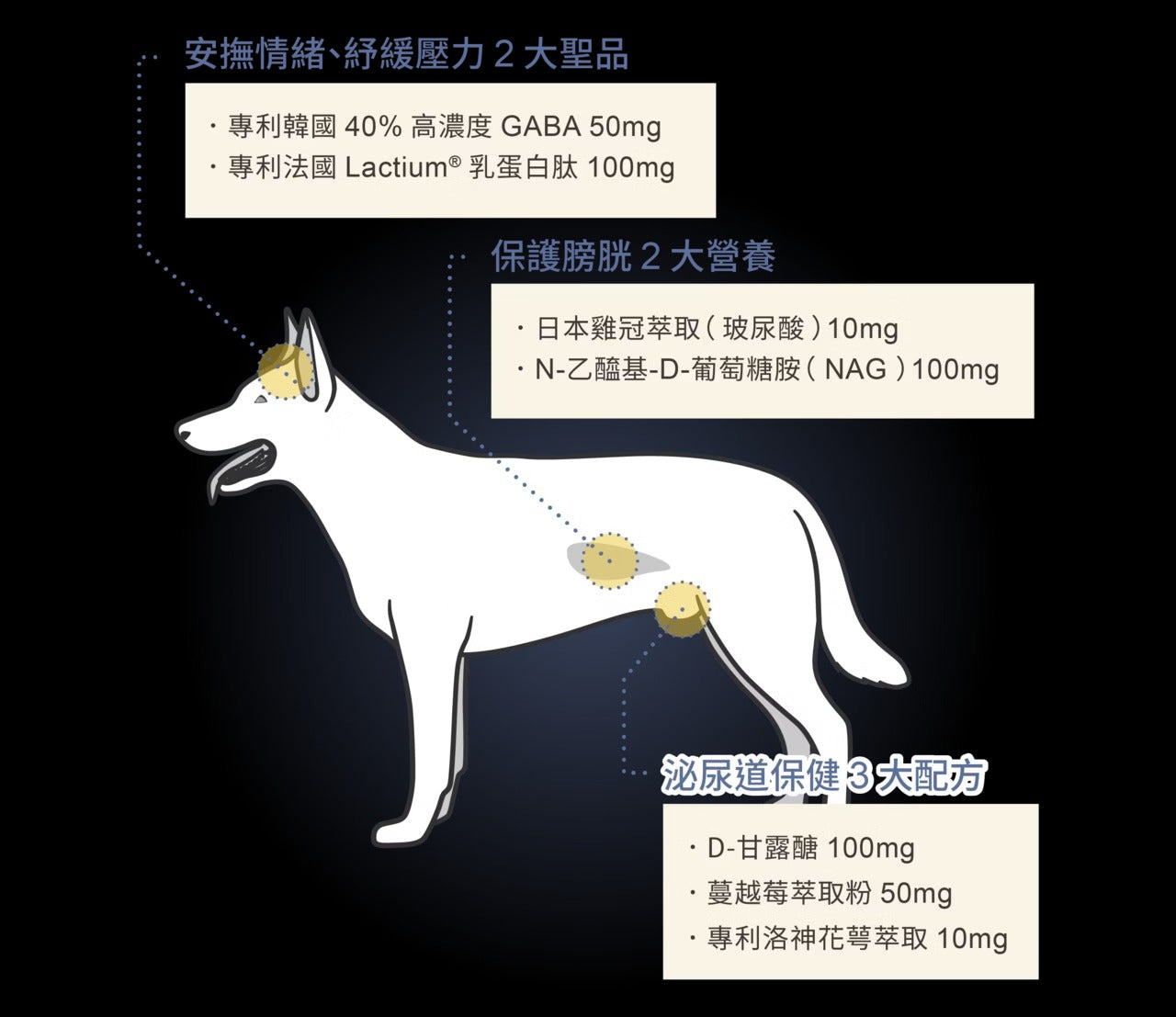 星巴哈尼｜犬用泌尿道＆舒壓保健