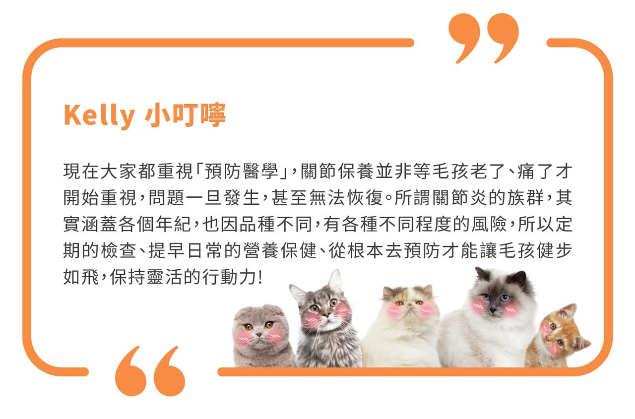 星巴哈尼｜貓用專用關節保健