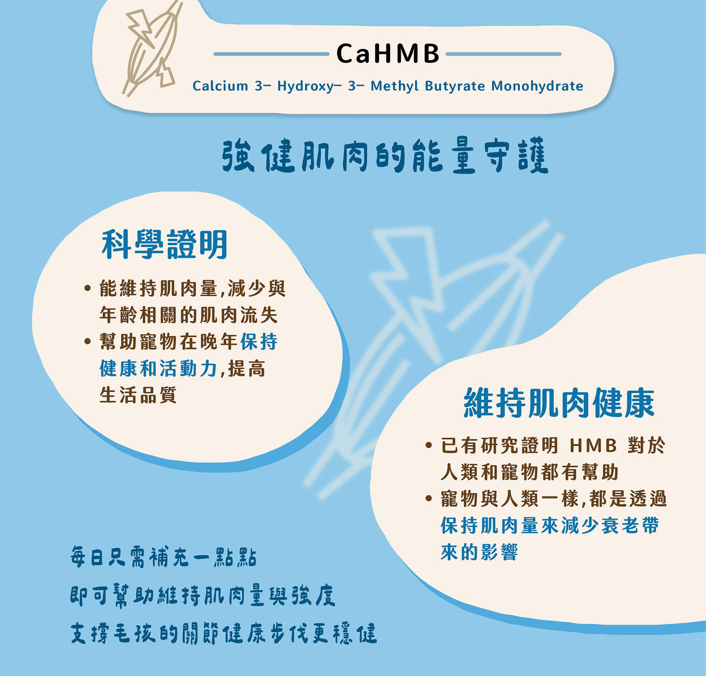【帕奇特小屋】骨溜溜小日子｜關節保健（犬貓適用）