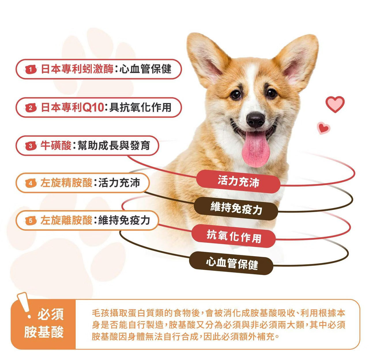星巴哈尼｜犬用專業心血管保健