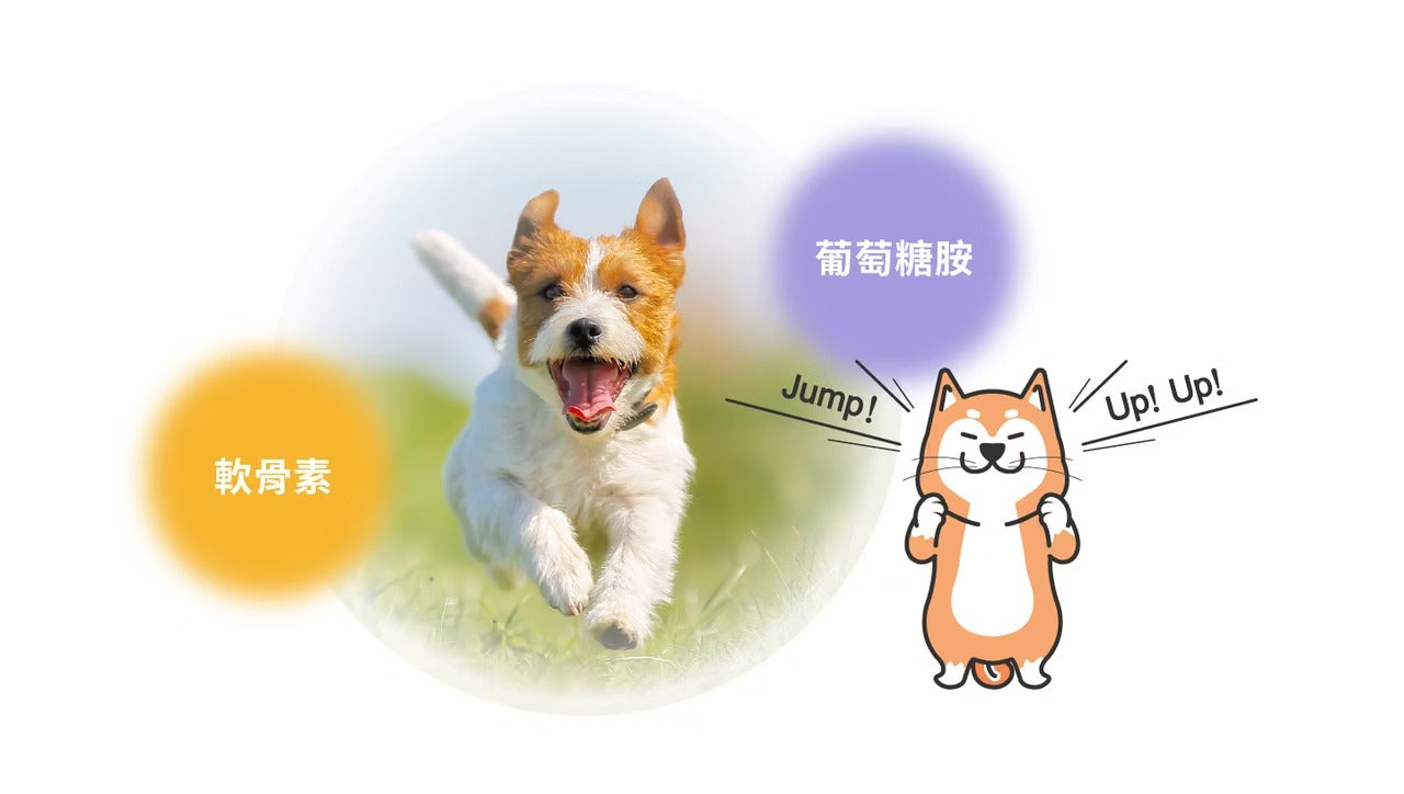 星巴哈尼｜犬用專用關節保健