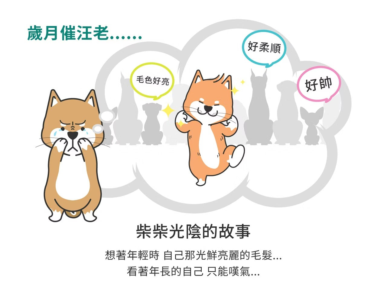 星巴哈尼｜犬用天然營養補給保健