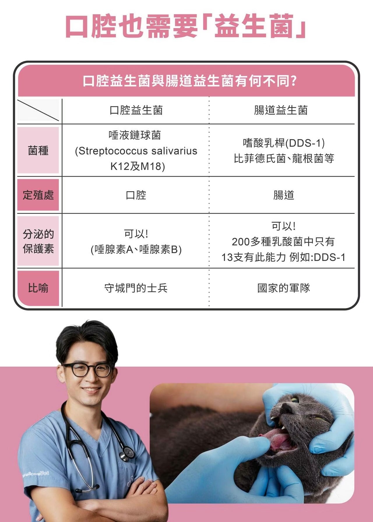 星巴哈尼｜貓用口腔護理保健