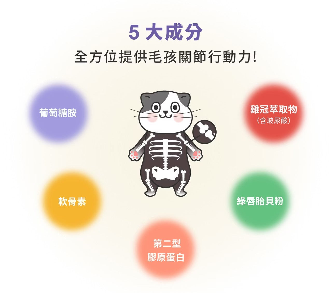 星巴哈尼｜貓用專用關節保健