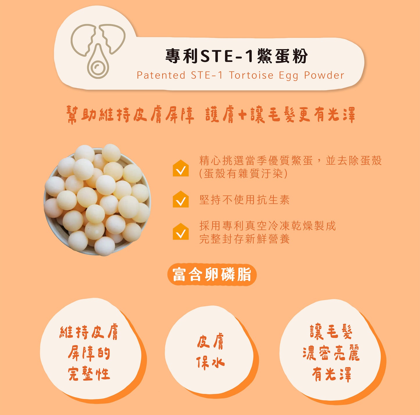 【帕奇特小屋】不癢癢小日子｜皮膚護理（犬貓適用）