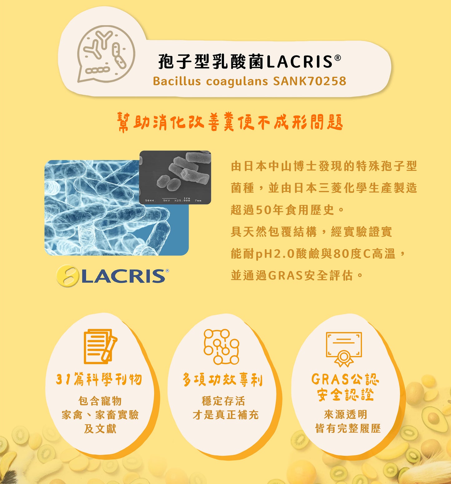 【帕奇特小屋】元氣小日子｜綜合維他命（犬貓適用）