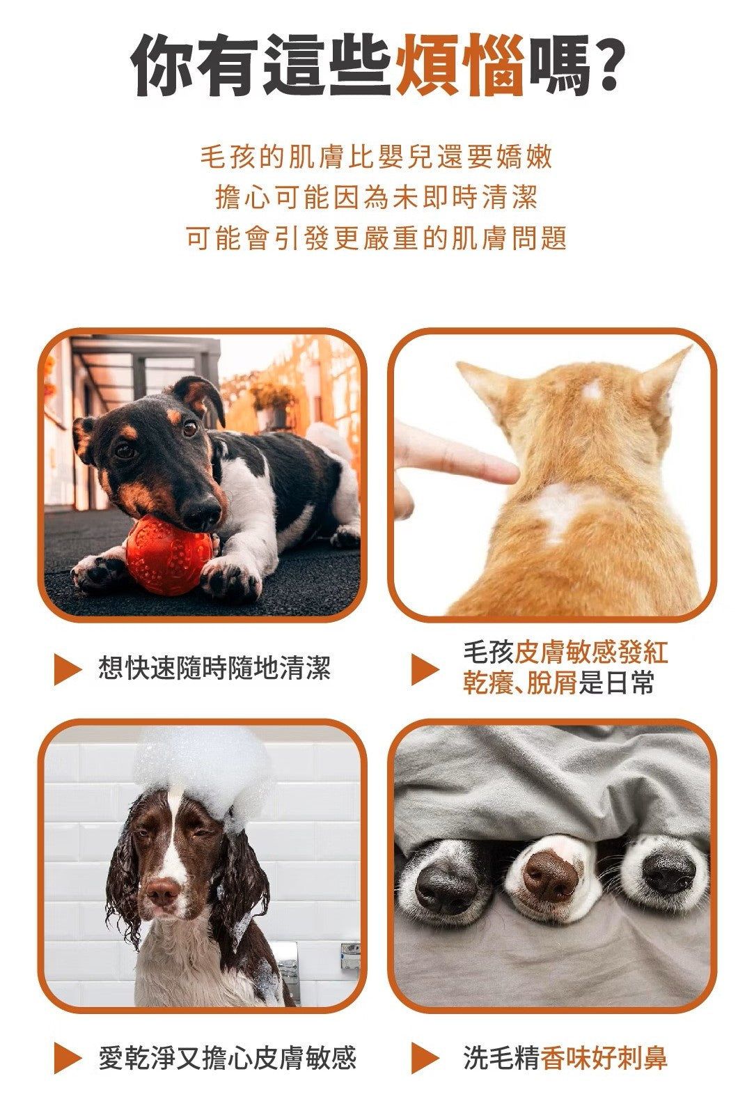 【毛毛咪呀】乾洗毛低敏潔淨泡150g