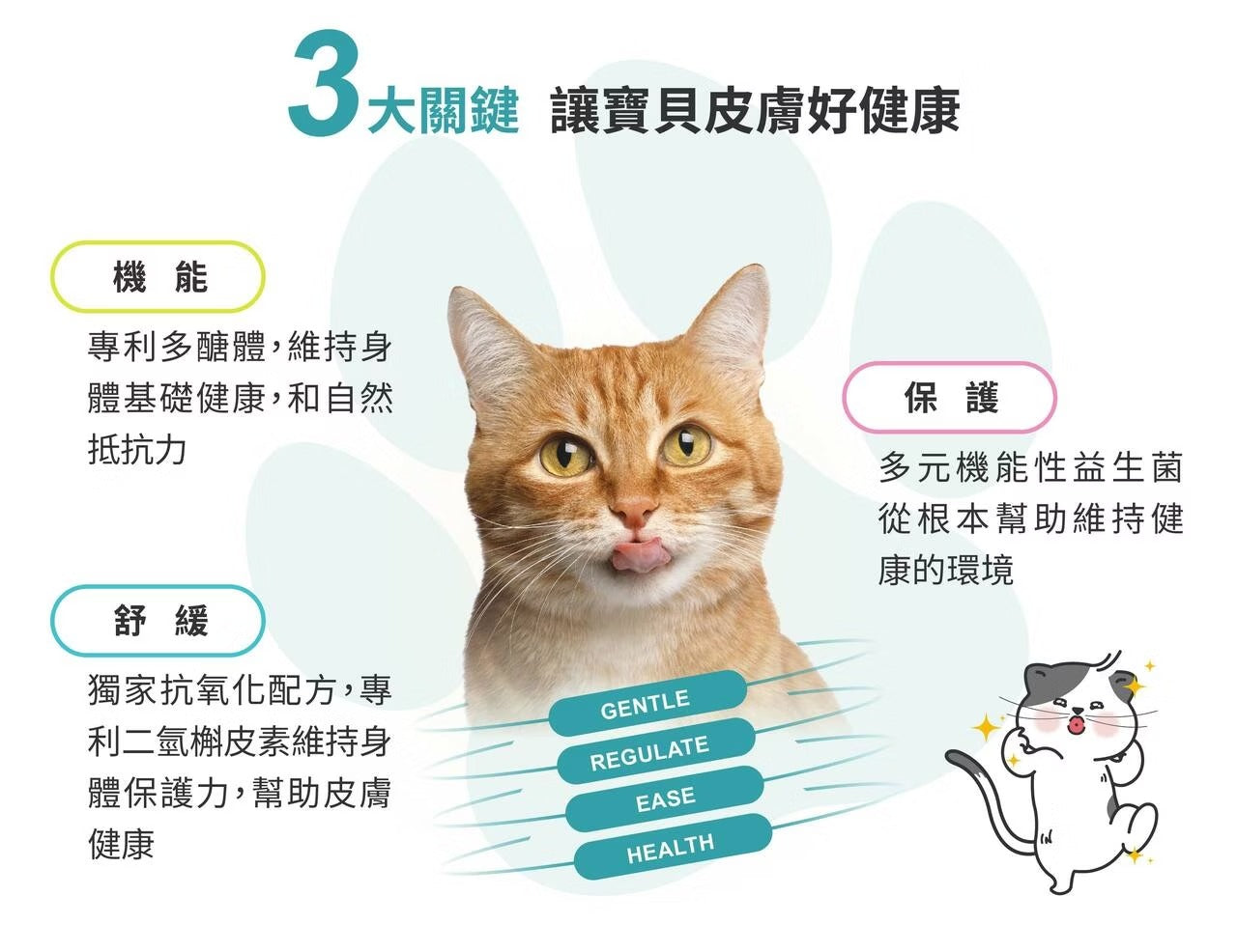 星巴哈尼｜貓用皮膚健康保健