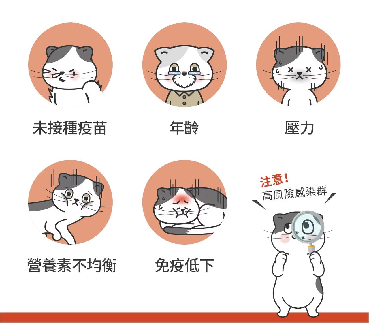 星巴哈尼｜貓用左旋離胺酸（雙多醣Plus+)