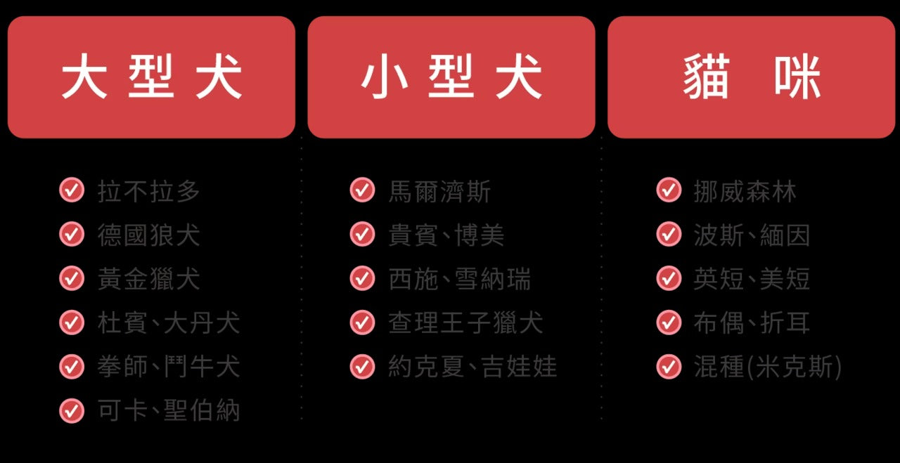 星巴哈尼｜貓用專業心血管保健