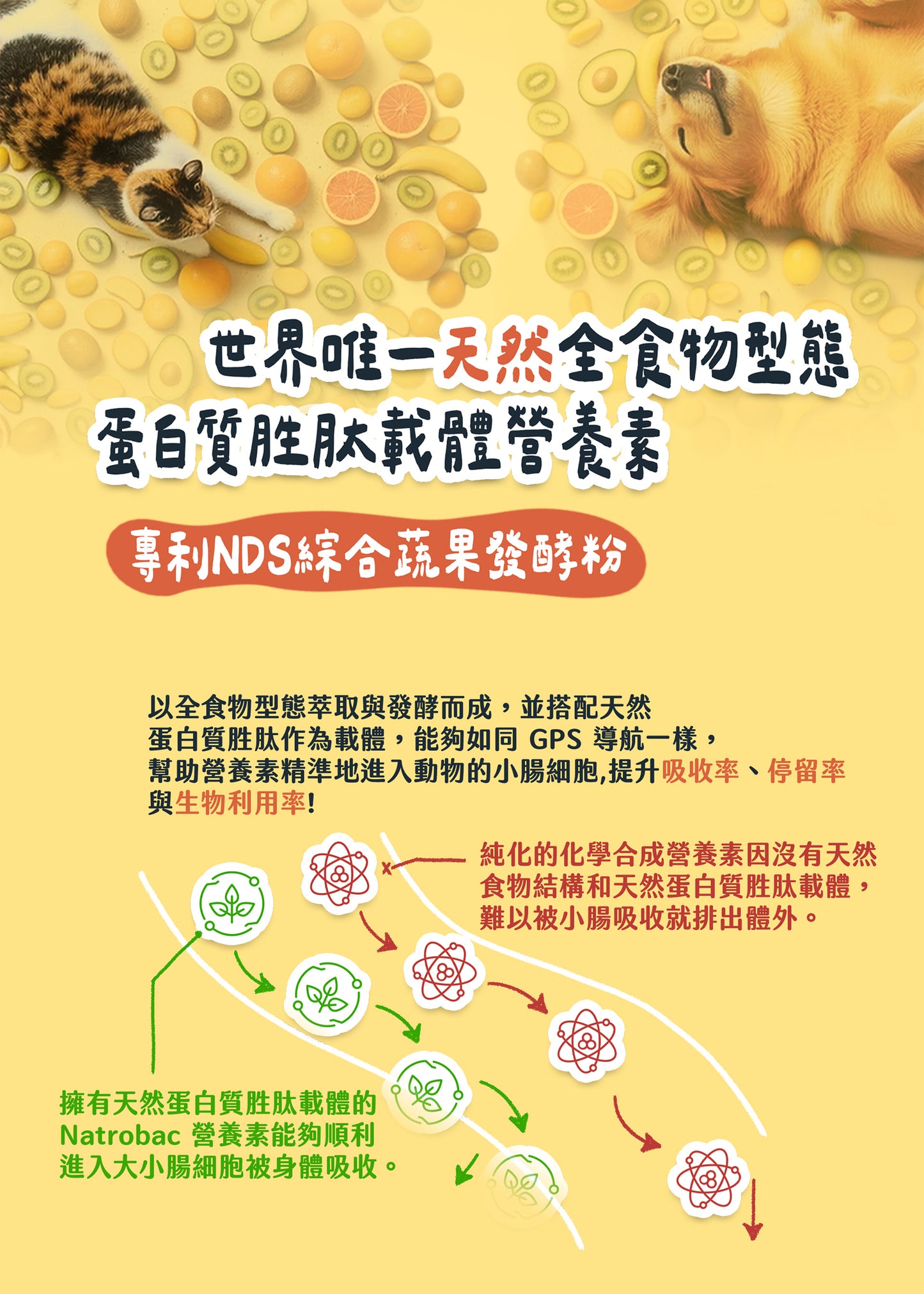 【帕奇特小屋】元氣小日子｜綜合維他命（犬貓適用）