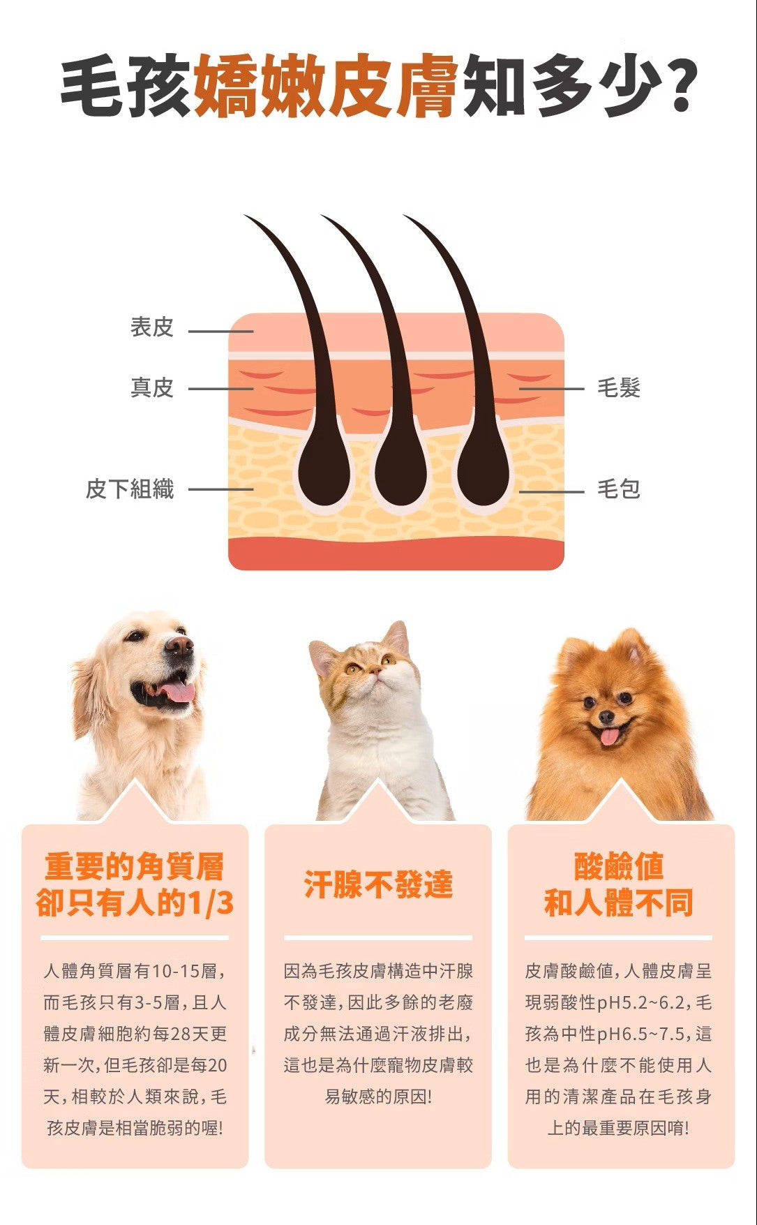 【毛毛咪呀】乾洗毛低敏潔淨泡150g
