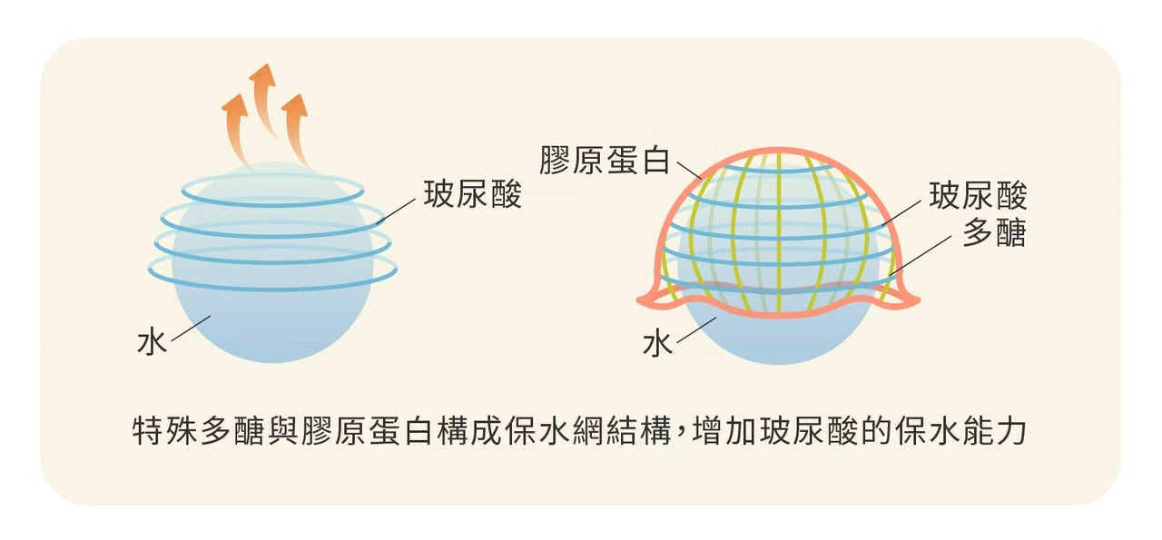 星巴哈尼｜犬用專用關節保健