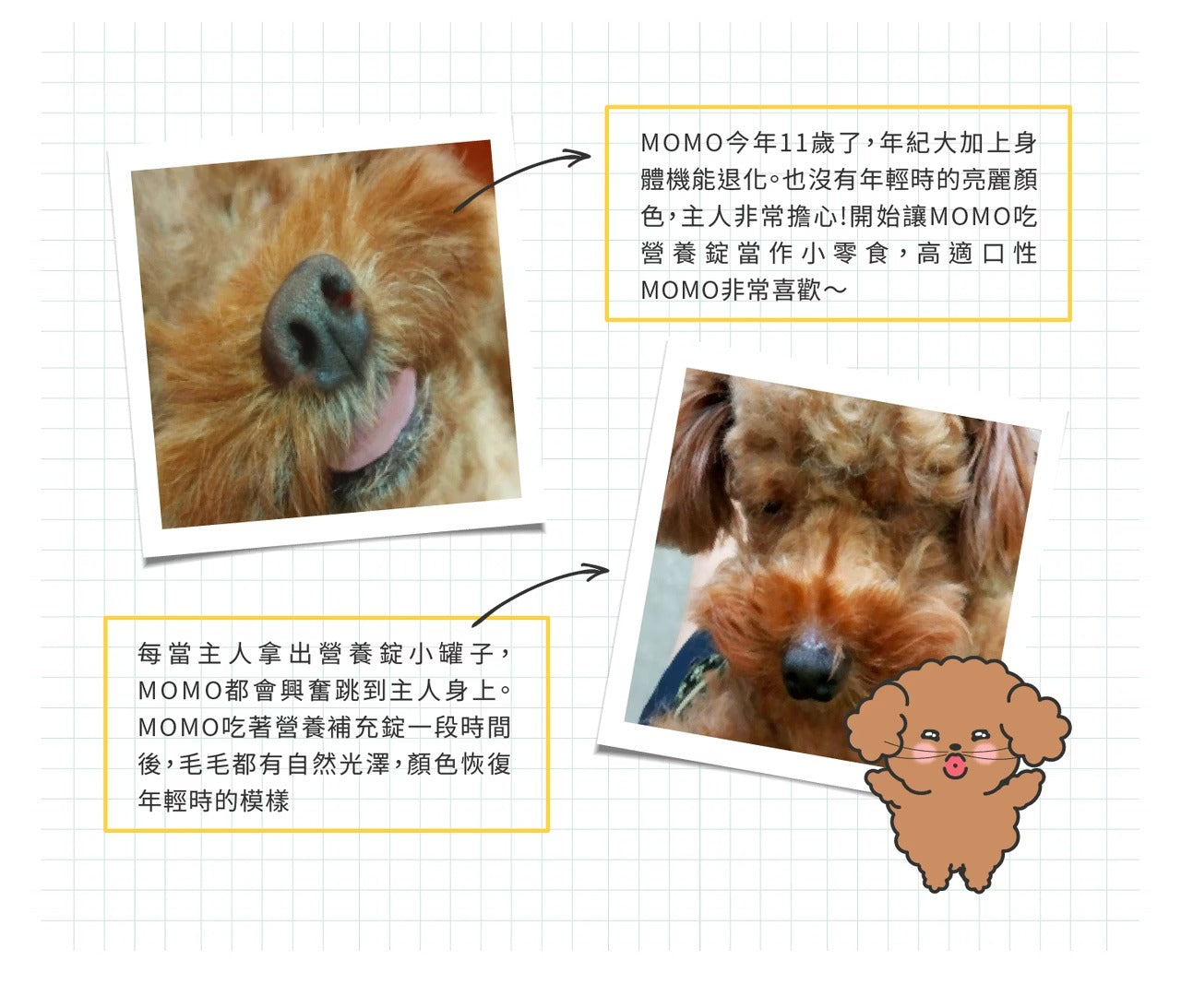 星巴哈尼｜犬用天然營養補給保健