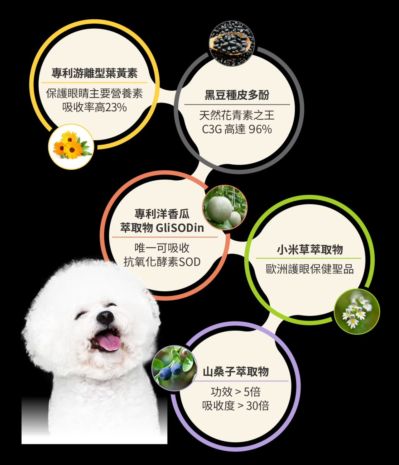 星巴哈尼｜犬用護眼營養保健