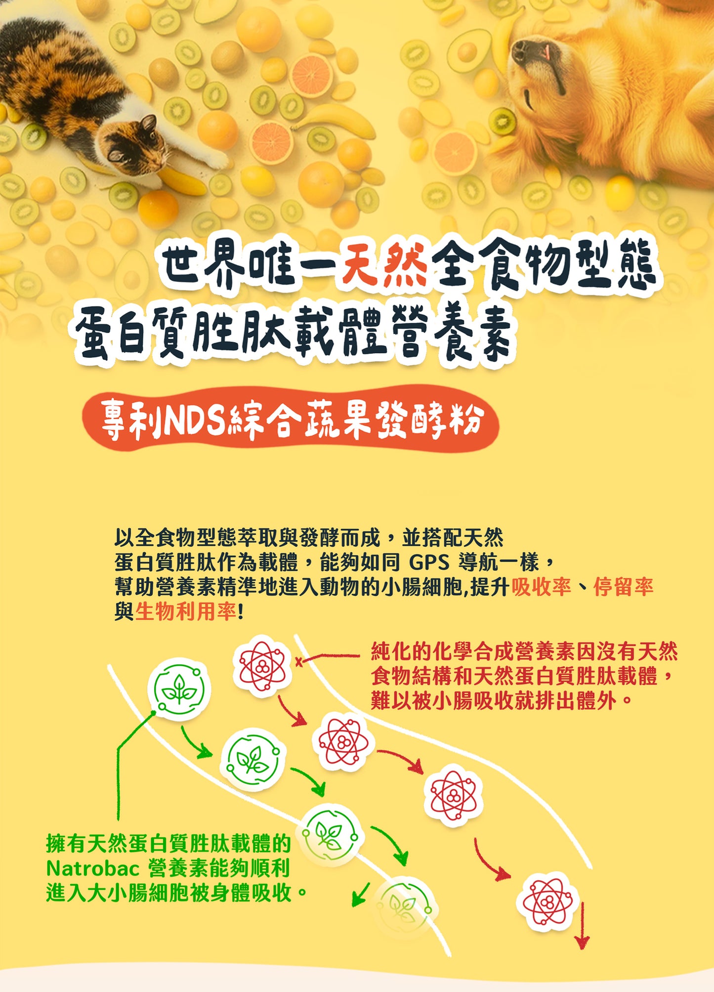 【帕奇特小屋】All in One組合（犬貓適用）