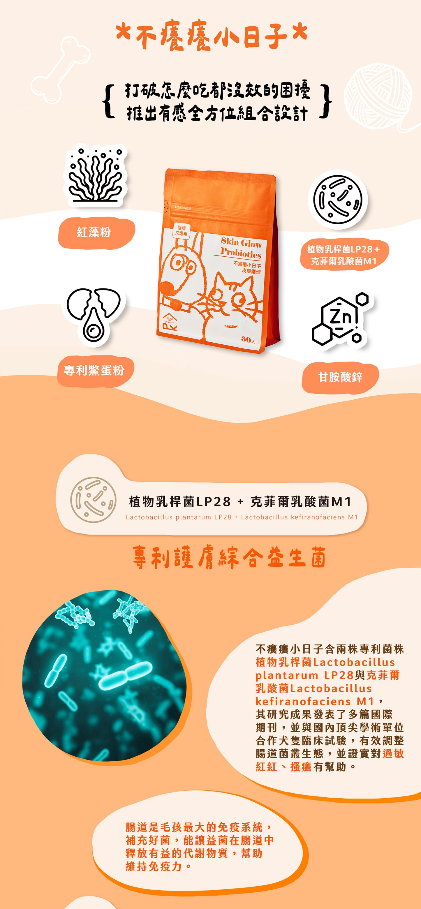 【帕奇特小屋】All in One組合（犬貓適用）