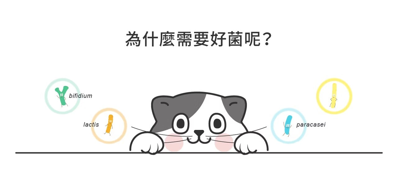 星巴哈尼｜加菲貓 聯名寵物益生菌-犬用(單入)