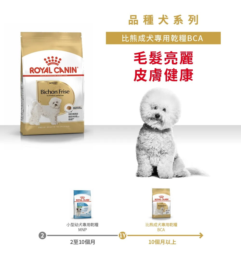 【法國皇家】BCA 比熊成犬專用乾糧