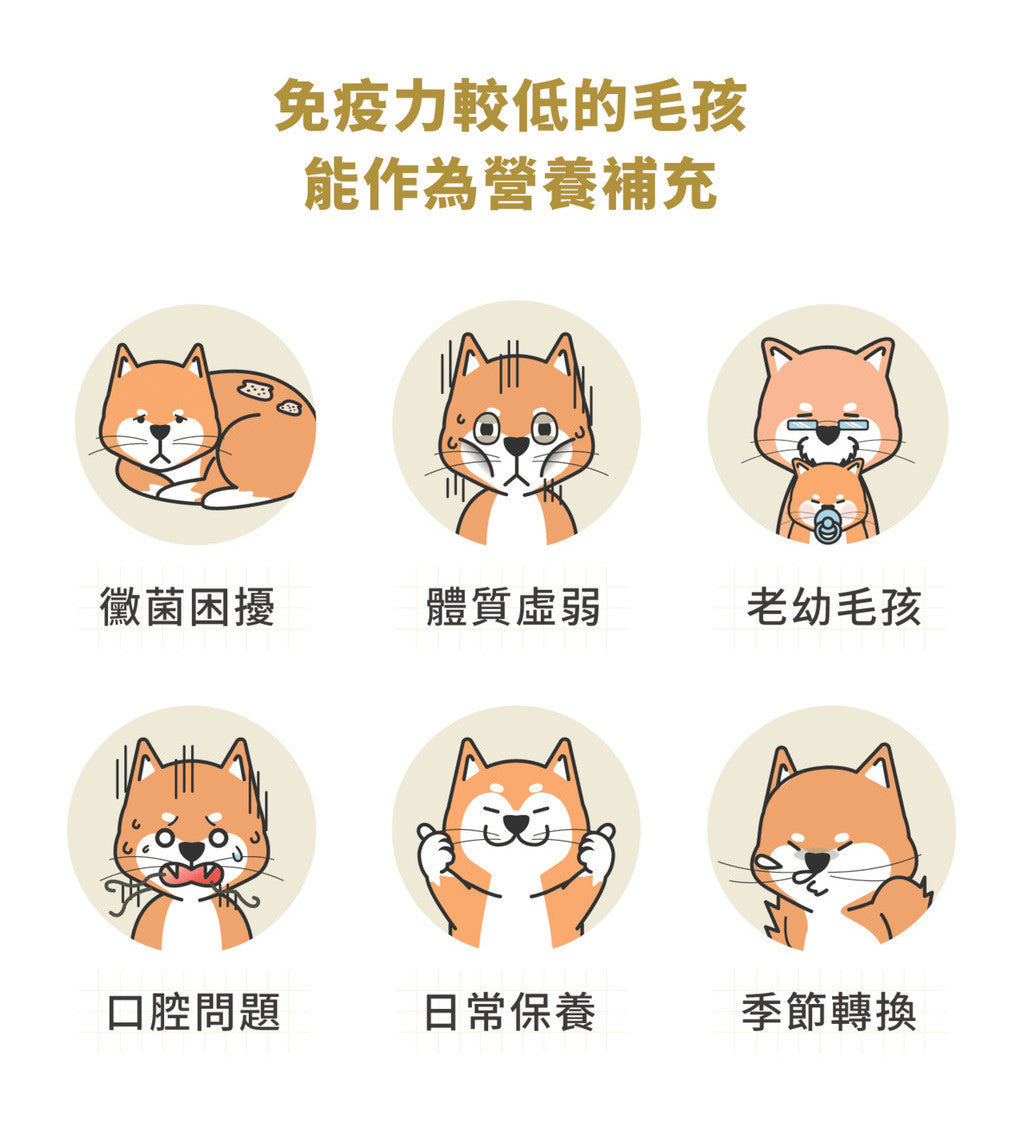 星巴哈尼-狗狗專用 犬用米蕈多醣體 平衡狗狗免疫力與體質調節 寵物保健 寵物保養